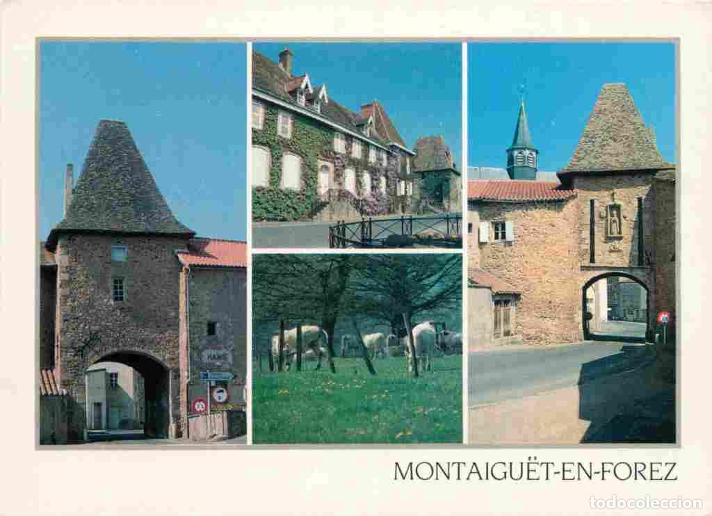 Postais: Francia - 03 - Montaiguet en Forez - Multivues - CPM - Voir Scans Recto-Verso