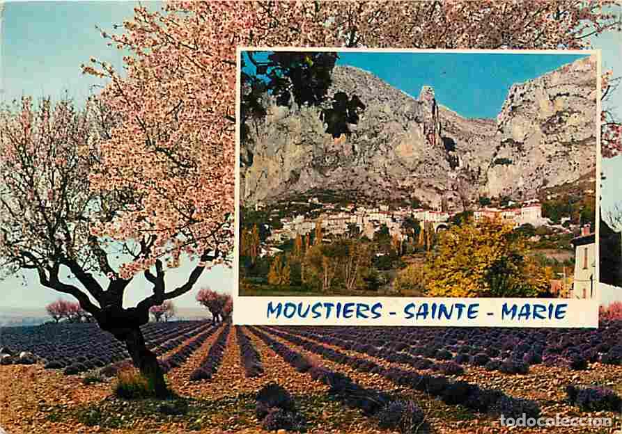 Postkarten: Francia - 04 - Moustiers Sainte Marie - Vue G&eacute;n&eacute;rale - Champs de lavande - CPM - Voir Scans Recto-Ve