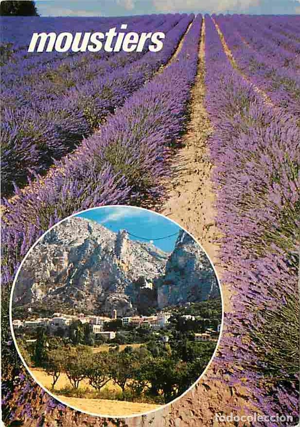 Postkarten: Francia - 04 - Moustiers Sainte Marie - Vue G&eacute;n&eacute;rale - Champs de lavande - CPM - Voir Scans Recto-Ve