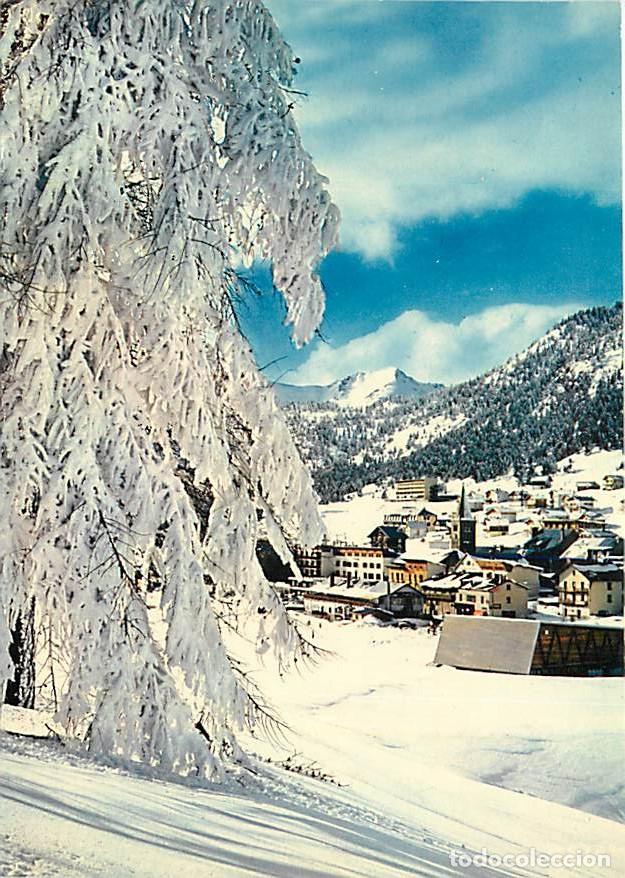 Postcards: Francia - 05 - Montgen&egrave;vre - Effet de givre sur les M&eacute;l&egrave;zes - Hiver - Neige - CPM - Voir Scans Recto