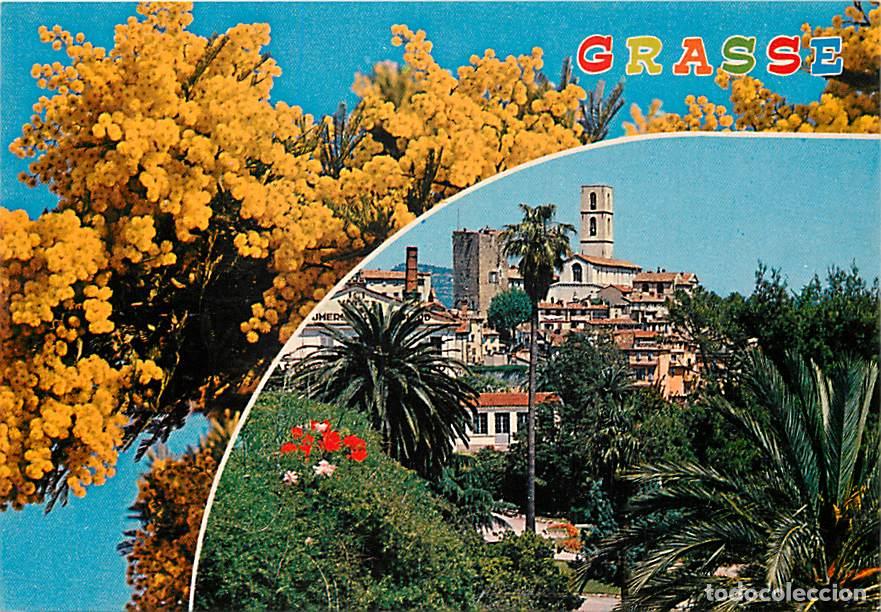 Postales: Francia - 06 - Grasse - Multivues - CPM - Carte Neuve - Voir Scans Recto-Verso