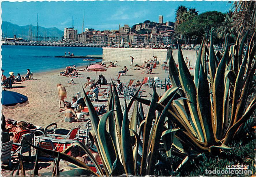Postkarten: Francia - 06 - Cannes - Vue sur la Plage et le Suquet - Sc&egrave;nes de Plage - CPM - Carte Neuve - Voir S