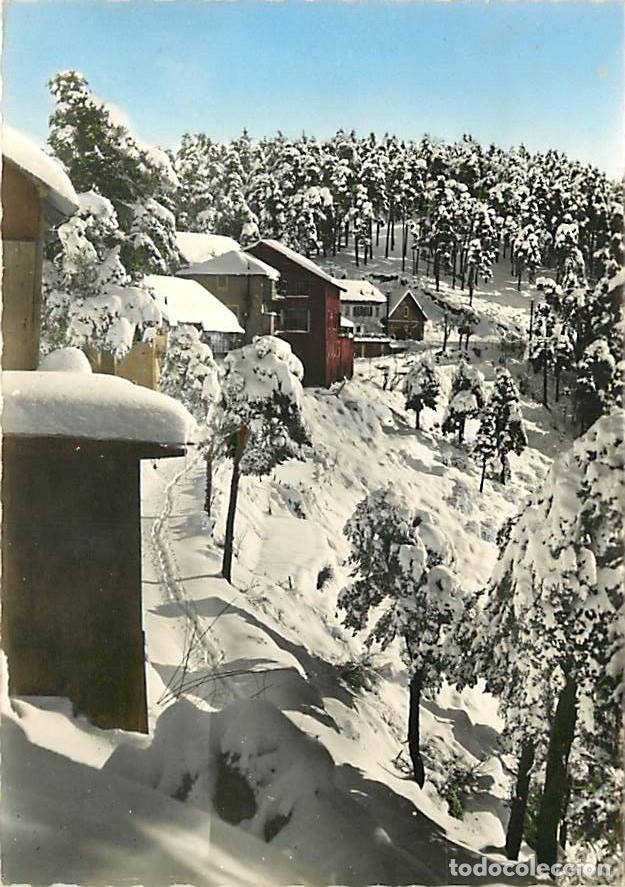 Postais: Francia - 06 - Peira-Cava - Station estivale et de Sports d'hiver - Sous la neige - Hiver - Neige -