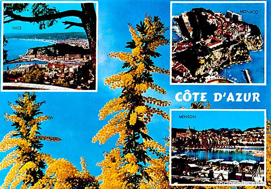 Postales: Francia - 06 - Alpes Maritimes - La Cote d'Azur - Multivues - Mimosas en fleurs - CPM - Carte Neuve