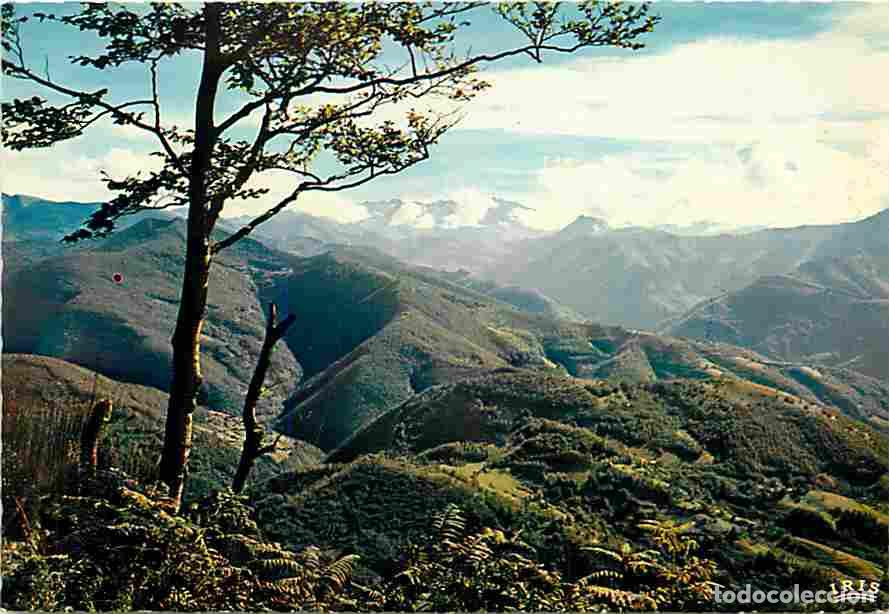 Postkarten: Francia - 09 - Foix - Aux environs de Foix - La route Verte au col des Marrous - Carte Neuve - CPM -