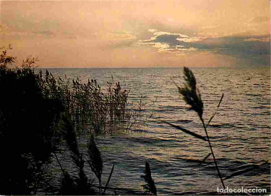 Cartes Postales: Francia - 13 - Camargue - Etang de Vaccare`s - Coucher de Soleil - Carte Neuve - CPM - Voir Scans Re