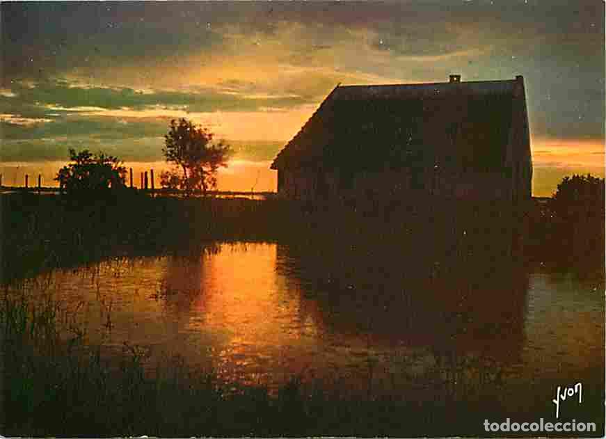 Cartes Postales: Francia - 13 - Camargue - Cabane de Gardian - Coucher de Soleil - Carte Neuve - CPM - Voir Scans Rec