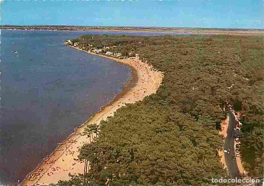 Postales: Francia - 17 - Ronce les Bains - Estuaire de la Saudre - La Plage vers la Pointe aux Herbes - Vue a&eacute;