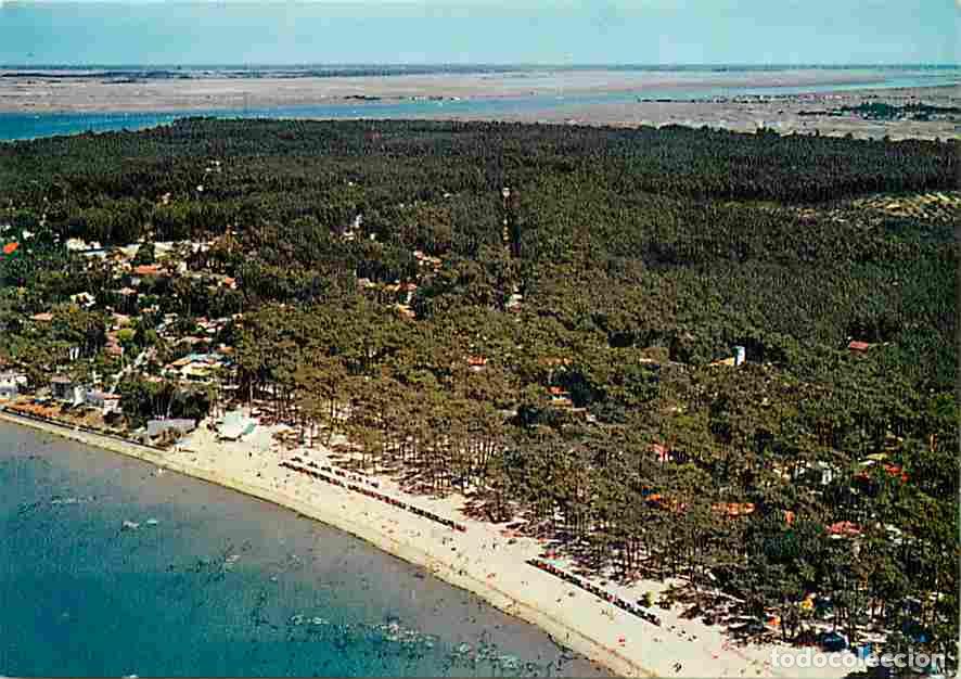 Postales: Francia - 17 - Ronce les Bains - Vue G&eacute;n&eacute;rale a&eacute;rienne de la Plage - CPM - Voir Scans Recto-Verso