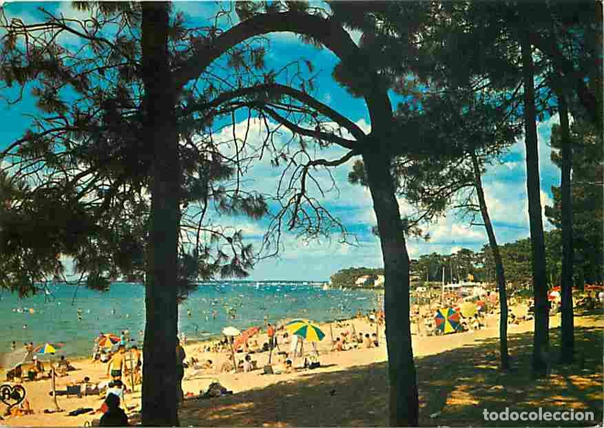 Postales: Francia - 17 - Ronce les Bains - La Plage - Flamme Postale - CPM - Voir Scans Recto-Verso