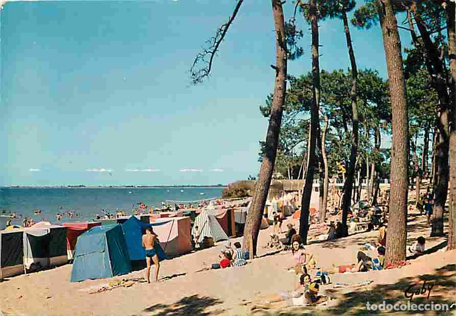 Postales: Francia - 17 - Ronce les Bains - La Plage - Sc&egrave;nes de Plage - CPM - Voir Scans Recto-Verso