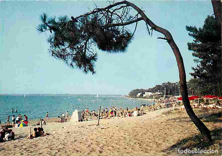 Postales: Francia - 17 - Ronce les Bains - Plage de la C&ecirc;pe - Sc&egrave;nes de Plage - CPM - Voir Scans Recto-Verso