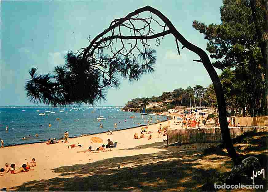 Postales: Francia - 17 - Ronce les Bains - Plage de la C&ecirc;pe - Au fond l'ile d'Ol&eacute;ron - Sc&egrave;nes de Plage - CPM -