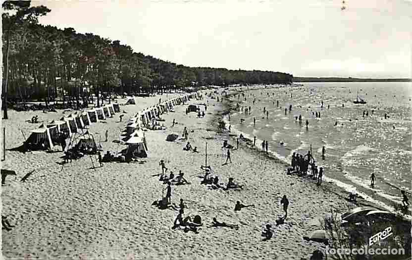 Postales: Francia - 17 - Ronce les Bains - La Plage - Sc&egrave;nes de Plage - CPM - Voir Scans Recto-Verso