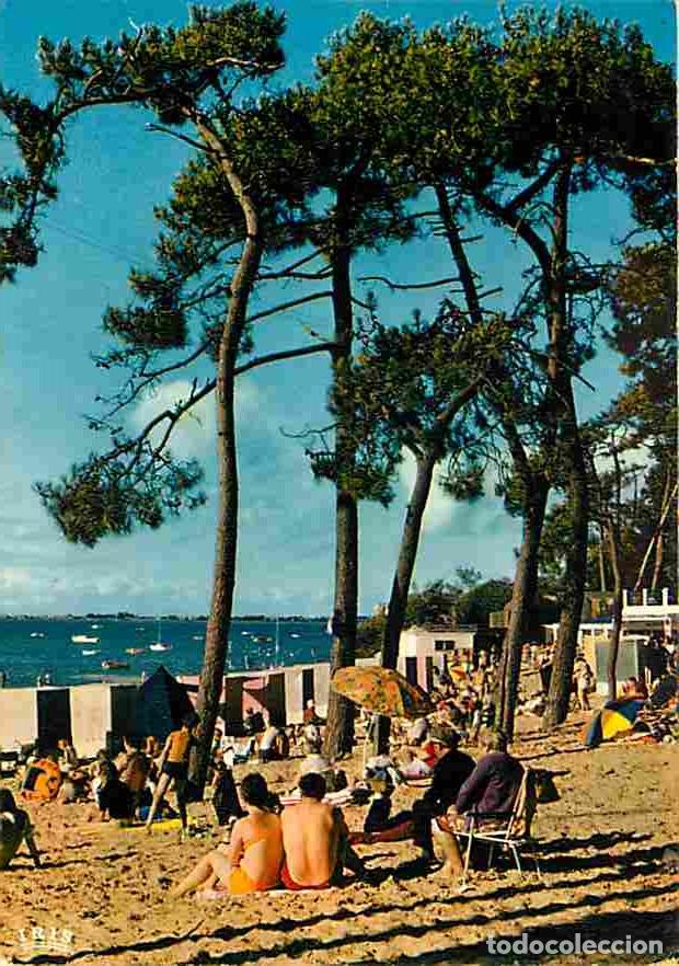 Postales: Francia - 17 - Ronce les Bains - Plage de la C&ecirc;pe - Flamme Postale - CPM - Voir Scans Recto-Verso