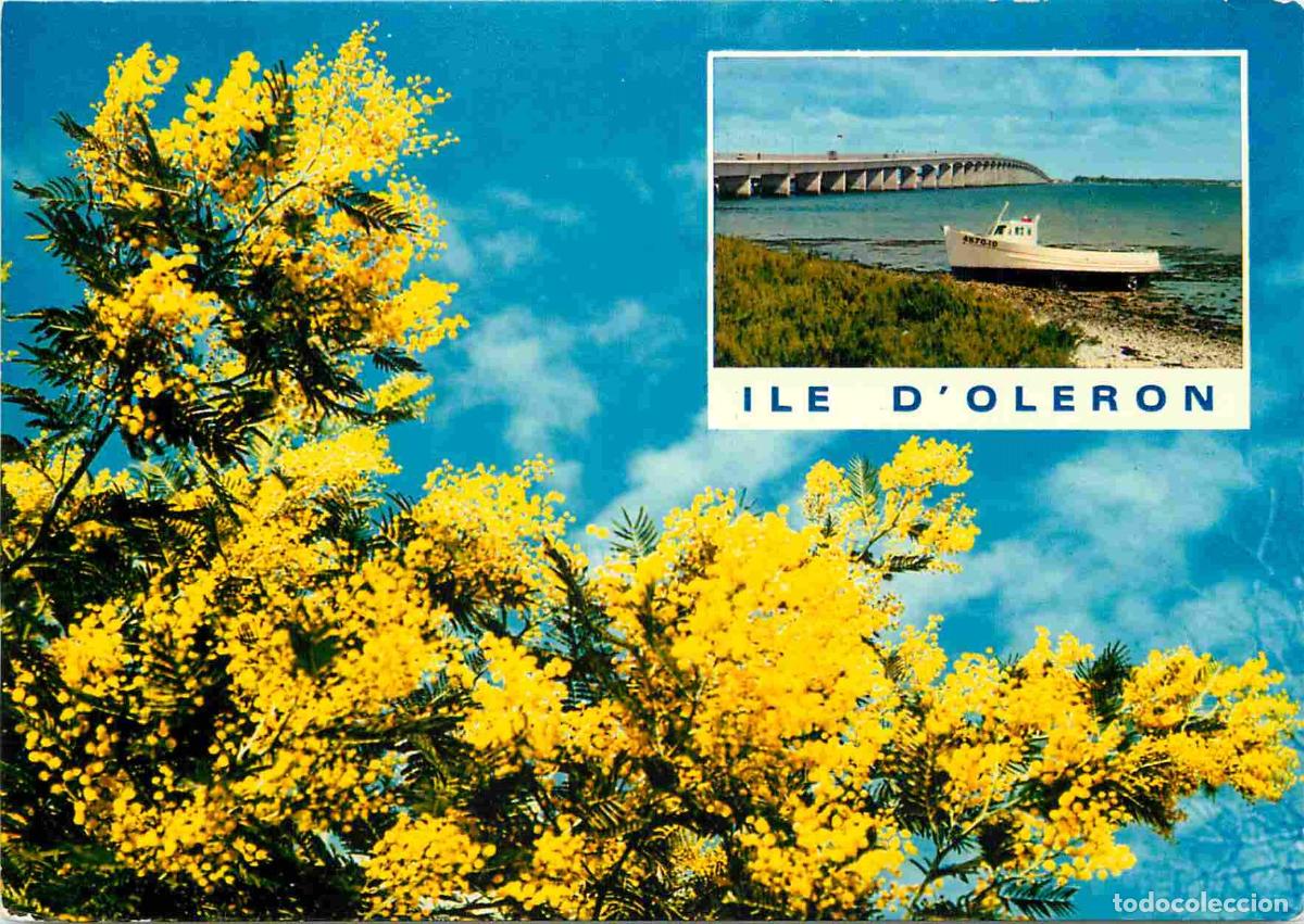 Postales: Francia - 17 - Ile d'Ol&eacute;ron - Le Viaduc Ol&eacute;ron Continent - CPM - Voir Scans Recto-Verso