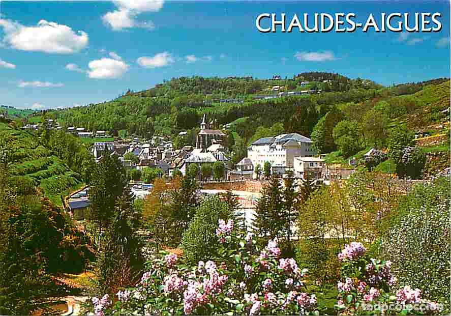 Postales: Francia - 15 - Chaudes-Aigues - Vue G&eacute;n&eacute;rale - Fleurs - CPM - Voir Scans Recto-Verso