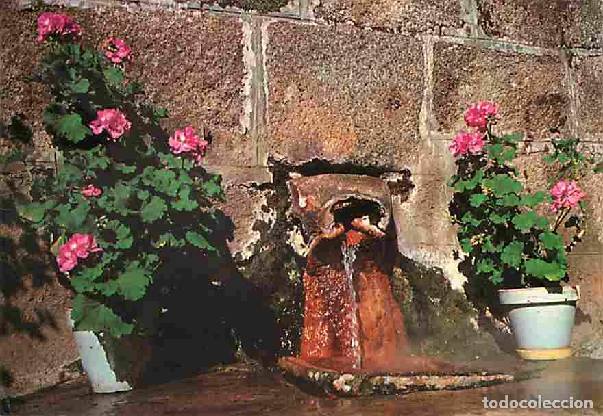 Postales: Francia - 15 - Chaudes-Aigues - La Source du Par - Fleurs - CPM - Voir Scans Recto-Verso