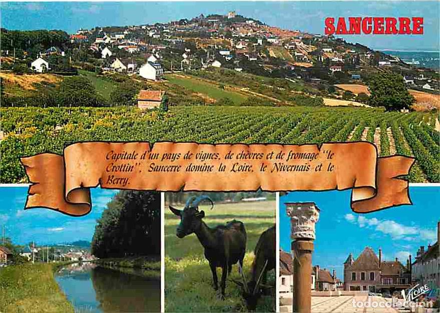 Cartoline: Francia - 18 - Sancerre - Multivues - Ch&egrave;vres - Carte Neuve - CPM - Voir Scans Recto-Verso
