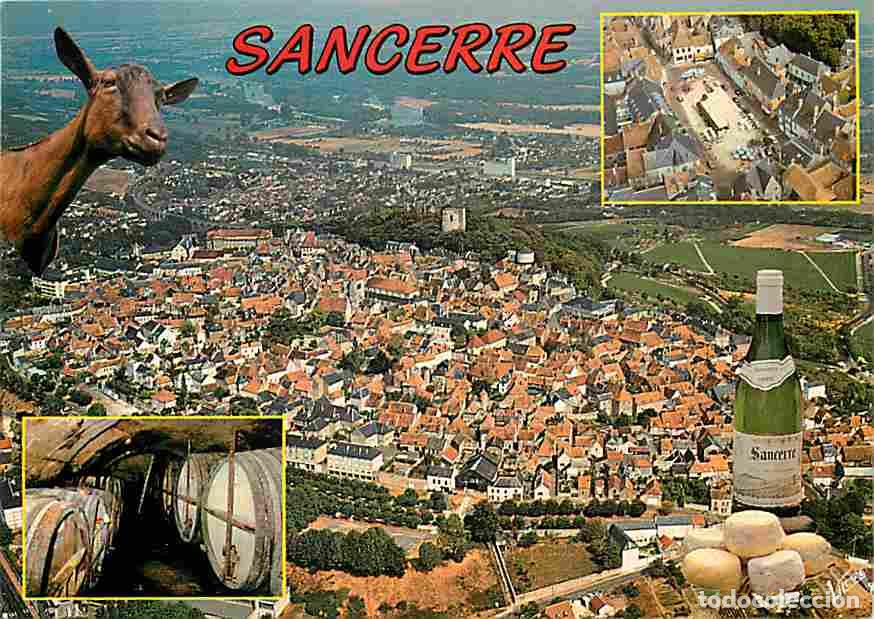 Cartoline: Francia - 18 - Sancerre - Multivues - Ch&egrave;vres - Fromages - Flamme Postale de Mirande - CPM - Voir Sc