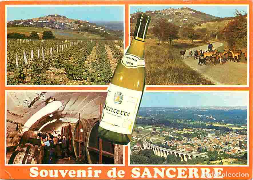 Cartoline: Francia - 18 - Sancerre - Multivues - Ch&egrave;vres - Bouteille de Vin - Caves - Carte Neuve - CPM - Voir