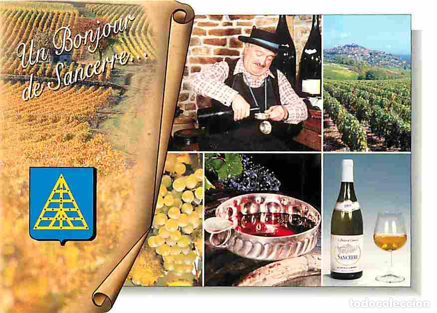 Cartoline: Francia - 18 - Sancerre - Multivues - Folklore - Bouteille de Vin - Blasons - Raisins - CPM - Voir S