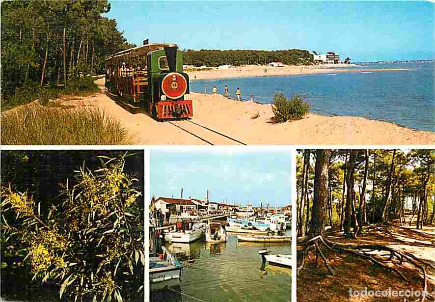 Postales: Francia - 17 - Ile d'Ol&eacute;ron - Multivues - Petit train touristique - Bateaux - CPM - Voir Scans Recto