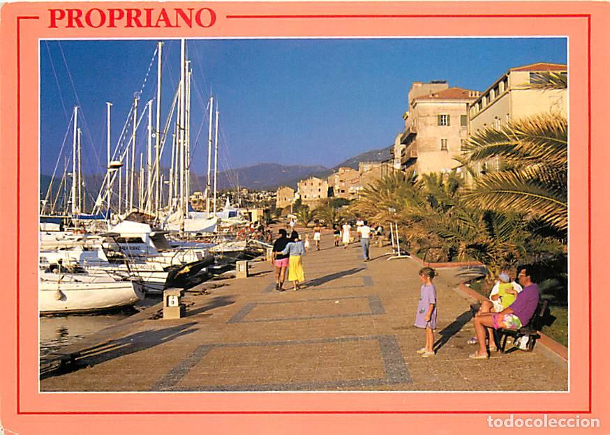 Cartoline: Francia - 20 - Propriano - Le Port - CPM - Voir Scans Recto-Verso