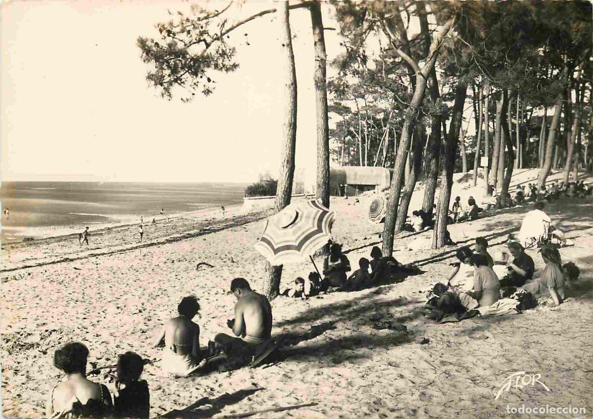 Cartes Postales: Francia - 17 - Ronce les Bains - Un coin de la Plage et les Pins - Sc&egrave;nes de Plage - Carte Dentel&eacute;e