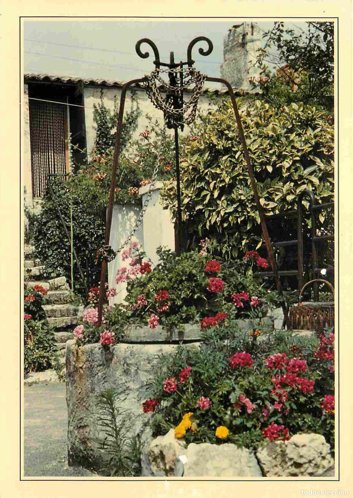 Cartes Postales: Francia - 17 - Charente Maritime - un puits fleuri - Fleurs - CPM - Voir Scans Recto-Verso