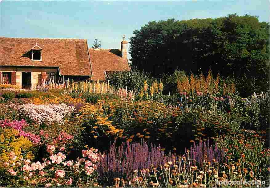 Cartes Postales: Francia - 18 - Apremont - Le Parc Floral - Fleurs - Carte Neuve - CPM - Voir Scans Recto-Verso