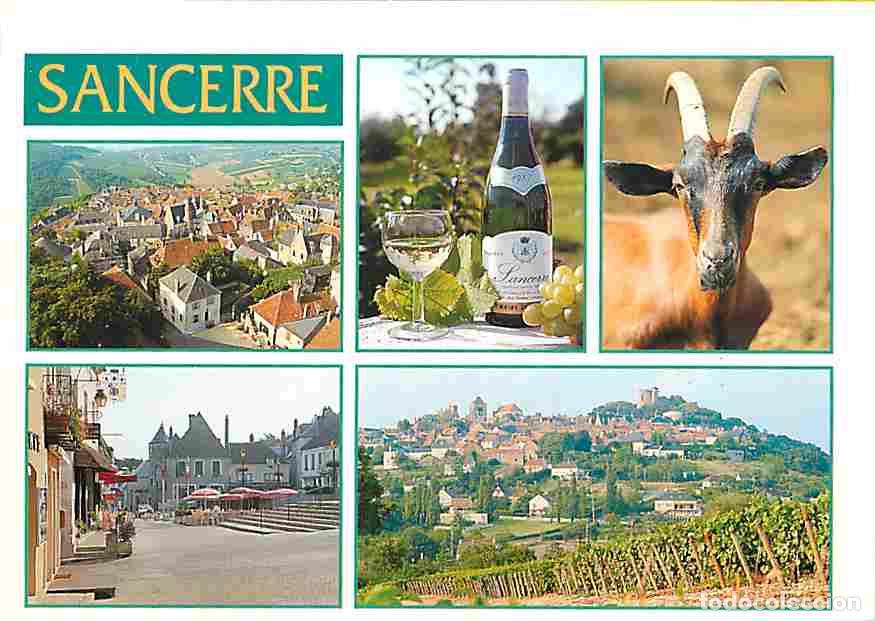 Cartes Postales: Francia - 18 - Sancerre - Multivues - Ch&egrave;vres - Bouteille de Vin - Carte Neuve - CPM - Voir Scans Re