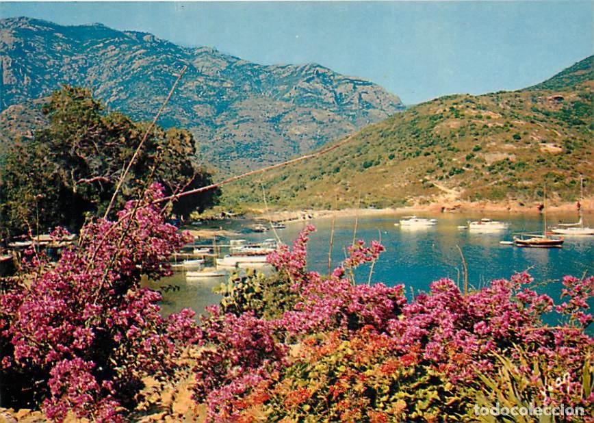 Postales: Francia - 20 - Girolata - Du pied de la tour : la splendeur tranquille du golfe - Carte Neuve - CPM