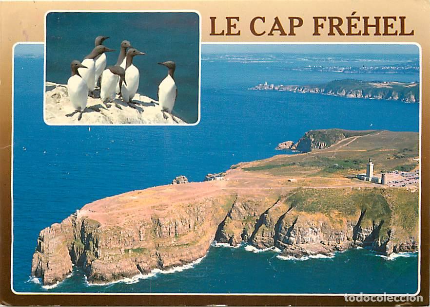 Postales: Francia - 22 - Le Cap Fr&eacute;hel - Multivues - Oiseaux de la R&eacute;serve - Guillemots - CPM - Voir Scans Rec