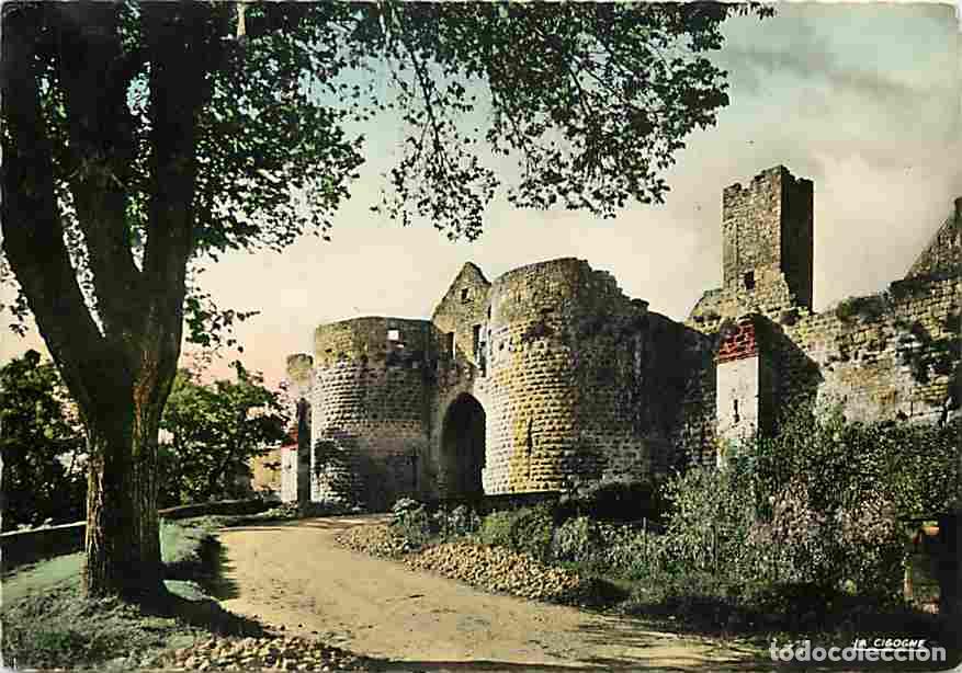 Postales: Francia - 24 - Domme - La Porte des Tours - CPM - Voir Scans Recto-Verso