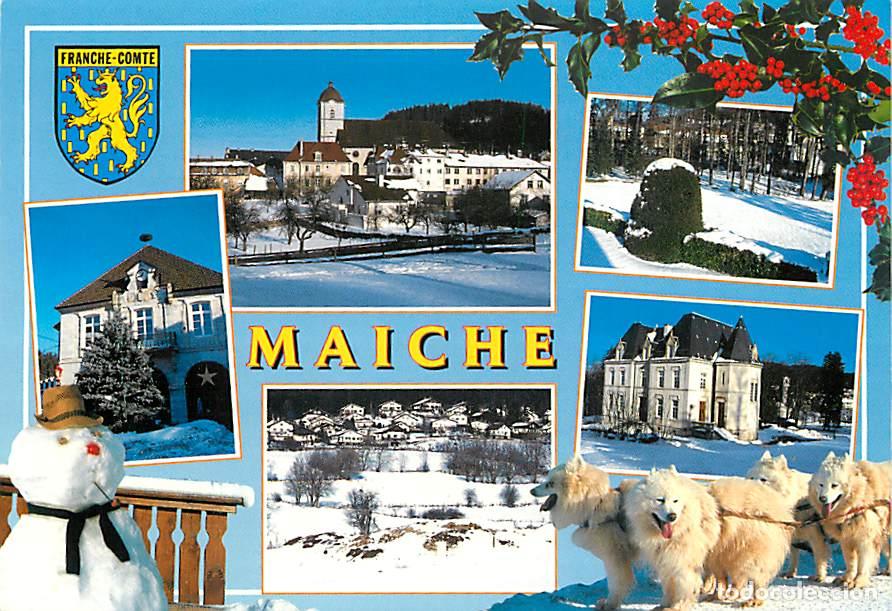 Cartes Postales: Francia - 25 - Maiche - Multivues - Blasons - Hiver - Neige - Chiens de traineau - CPM - Voir Scans