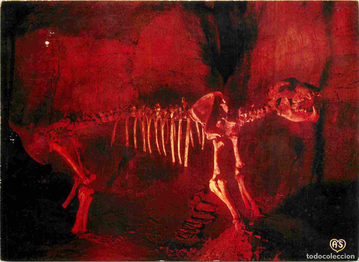 Postkarten: Francia - 25 - Grotte d'Osselle - Ours des Cavernes - Sp&eacute;l&eacute;ologie - CPM - Voir Scans Recto-Verso