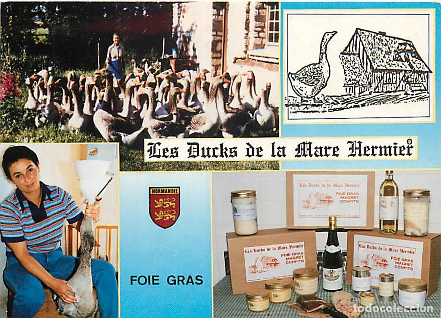 Postkarten: Francia - 27 - Amfreville sur Iton - La Mare Hermier - Multivues - Elevage d'oies - Foie Gras - Prod