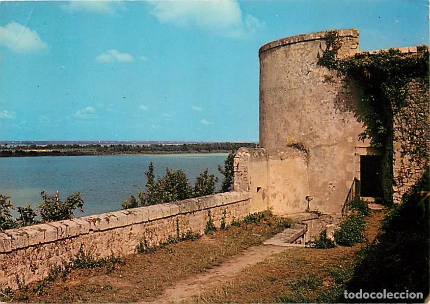Postales: Francia - 33 - Blaye - La Tour aux Oiseaux - Vieilles pierres - CPM - Voir Scans Recto-Verso