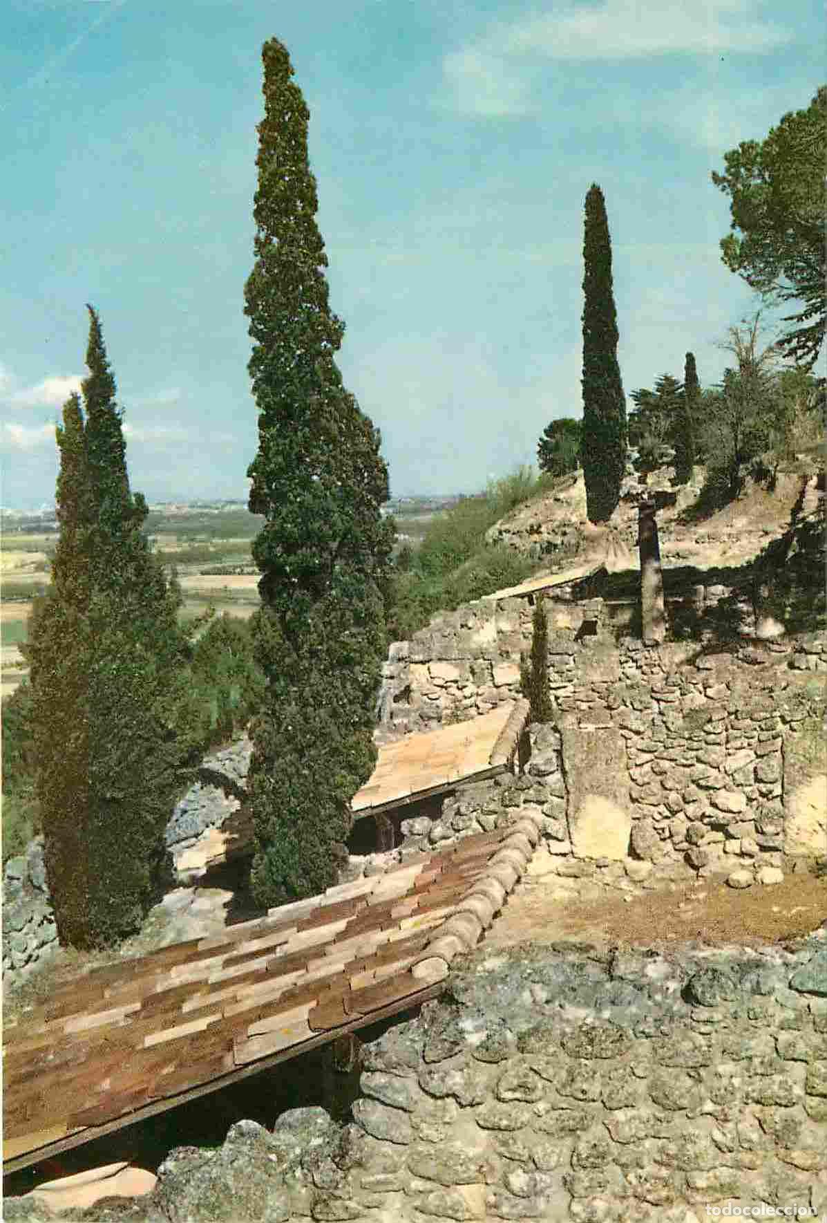 Postkarten: Francia - 34 - Ens&eacute;rune - Le Site arch&eacute;ologique - Quartier Nord de l'oppidum - Arch&eacute;ologie - CPM - C