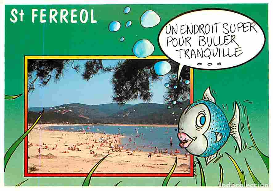 Postales: Francia - 31 - Saint Ferreol - La Plage - CPM - Voir Scans Recto-Verso