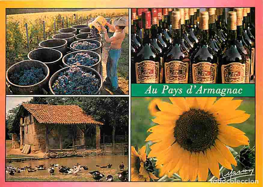 Cartes Postales: Francia - 32 - Gers - Armagnac - Au pays d'Armagnac - Multivues - Vendanges - Bouteilles - Canards -