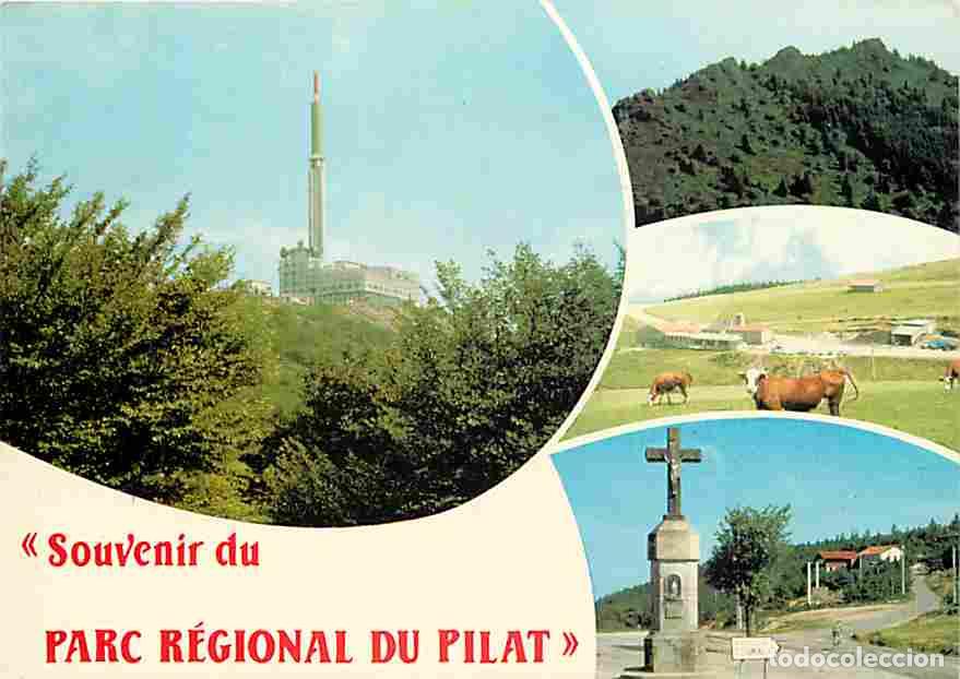 Postales: Francia - 42 - Le Mont Pilat - Parc Naturel R&eacute;gional du Pilat - Multivues - Vaches - La Tour de T&eacute;l&eacute;