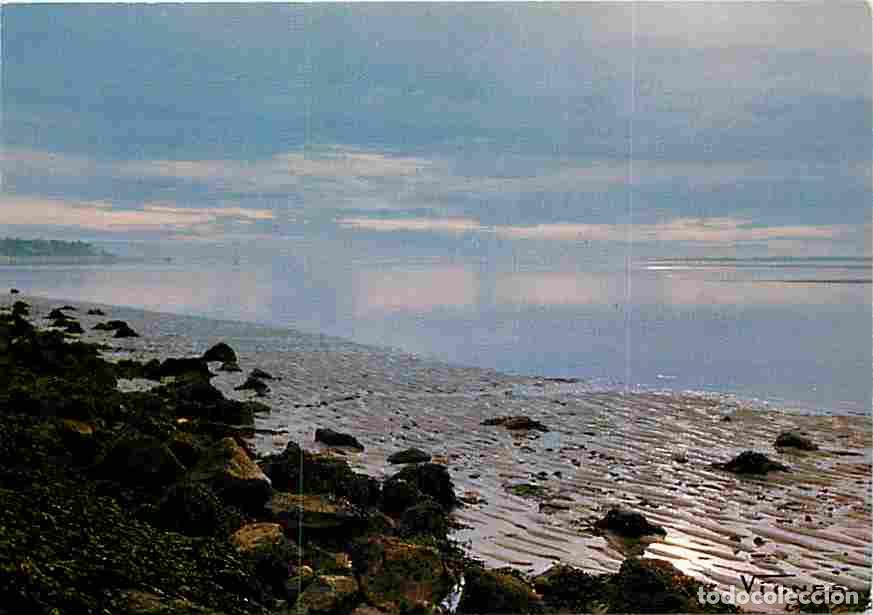 Postais: Francia - 40 - Landes - Paysage d'Automne - CPM - Voir Scans Recto-Verso