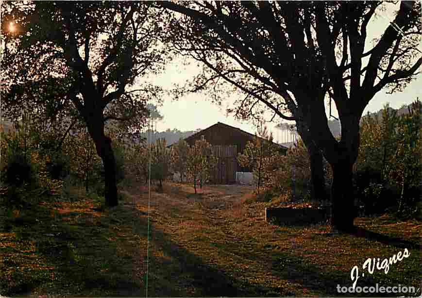 Postais: Francia - 40 - Landes - Quand vient le soir sur la Bergerie - CPM - Voir Scans Recto-Verso