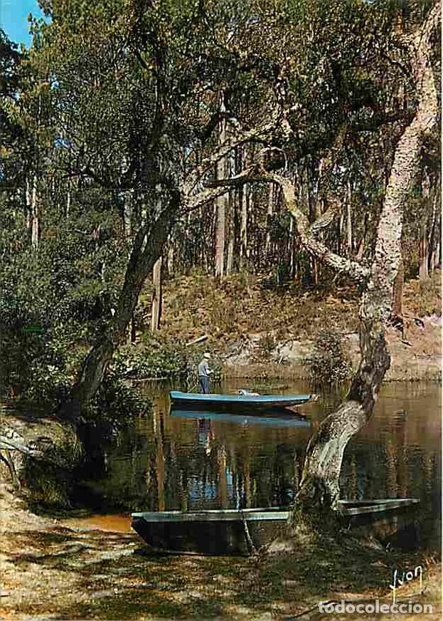 Postais: Francia - 40 - Landes - Courant d'Huchet - Barques - CPM - Voir Scans Recto-Verso