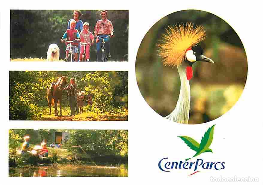 Postales: Francia - 41 - Chaumont sur Tharonne - Center Parcs - Domaine des Hauts de Bruy&egrave;res - Multivues - CP