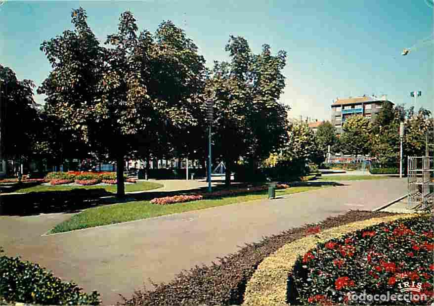 Cartoline: Francia - 42 - Saint-Etienne - Jardin Carnot - Fleurs - CPM - Voir Scans Recto-Verso