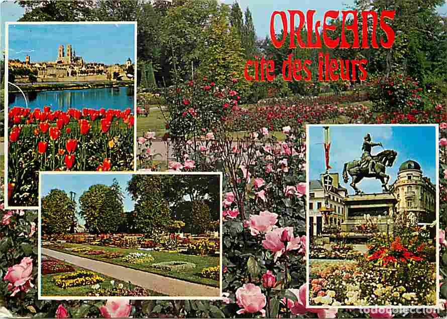 Cartoline: Francia - 45 - Orl&eacute;ans - Cit&eacute; des Fleurs - Multivues - CPM - Voir Scans Recto-Verso