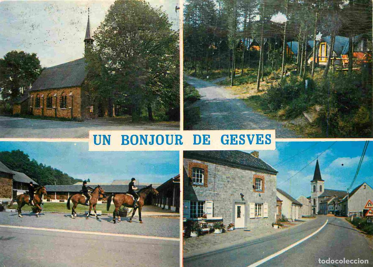 Postais: Belgique - Gesves - Multivues - Chevaux - CPM - Etat froissures - Voir Scans Recto-Verso